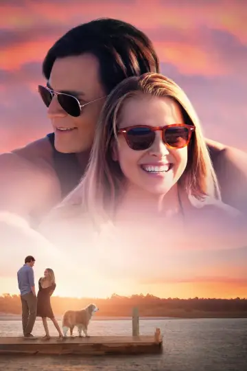 Plakat do filmu "Wybór" #234580