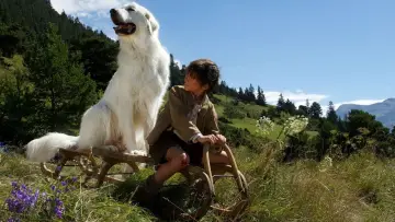 Zasłona do filmu "Bella i Sebastian 2" #251772