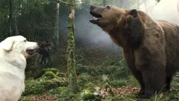 Zasłona do filmu "Bella i Sebastian 2" #251774