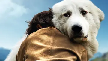 Zasłona do filmu "Bella i Sebastian 2" #251775
