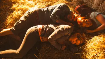 Zasłona do filmu "Wicher 2: Na przekór wszystkiemu" #356080