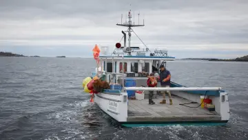 Zasłona do filmu "Manchester by the Sea" #208342