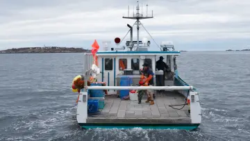 Zasłona do filmu "Manchester by the Sea" #208348