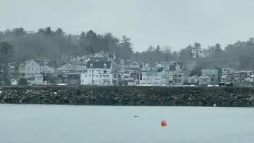 Zasłona do filmu "Manchester by the Sea" #624216