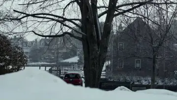 Zasłona do filmu "Manchester by the Sea" #916884