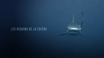Zasłona do filmu "Les Requins de la Colère" #1432679