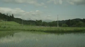 Zasłona do filmu "リトル・フォレスト 冬・春" #1149319