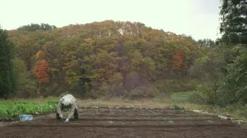 Zasłona do filmu "リトル・フォレスト 冬・春" #1149323