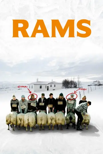Plakat do filmu "Barany. Islandzka opowieść" #1048940