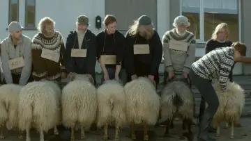Zasłona do filmu "Barany. Islandzka opowieść" #410874