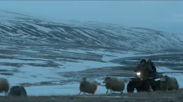 Zasłona do filmu "Barany. Islandzka opowieść" #410875