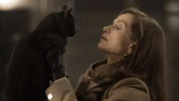 Zasłona do filmu "Elle" #996618