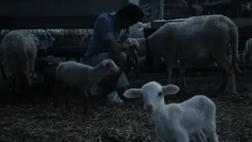 Zasłona do filmu "Mektoub. Moja miłość: Pieśń pierwsza" #1074858
