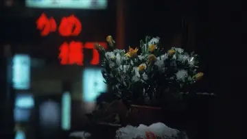 Zasłona do filmu "冬の華" #1619979