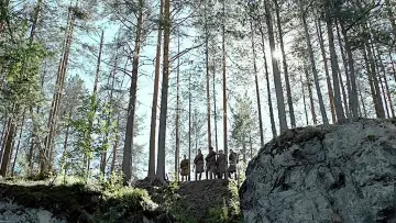 Zasłona do filmu "Tak tu cicho o zmierzchu..." #446786