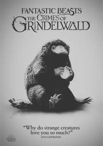 Plakat do filmu "Fantastyczne zwierzęta: Zbrodnie Grindelwalda" #257099
