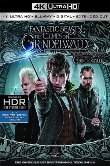 Plakat do filmu "Fantastyczne zwierzęta: Zbrodnie Grindelwalda" #43134