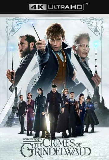 Plakat do filmu "Fantastyczne zwierzęta: Zbrodnie Grindelwalda" #43164
