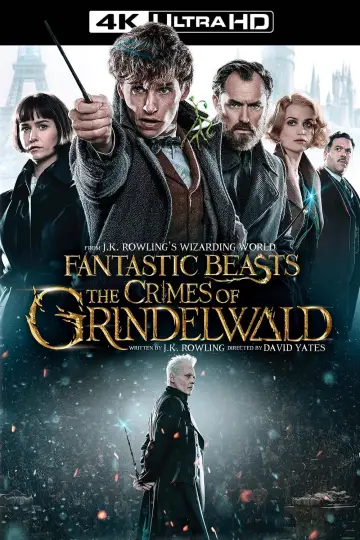 Plakat do filmu "Fantastyczne zwierzęta: Zbrodnie Grindelwalda" #43174
