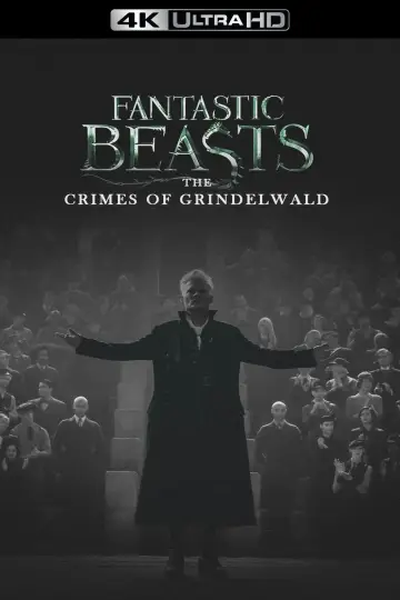 Plakat do filmu "Fantastyczne zwierzęta: Zbrodnie Grindelwalda" #43176