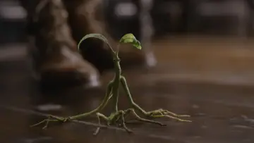 Zasłona do filmu "Fantastyczne zwierzęta: Zbrodnie Grindelwalda" #473158
