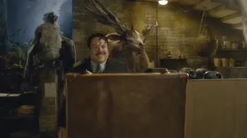 Zasłona do filmu "Fantastyczne zwierzęta: Zbrodnie Grindelwalda" #473160