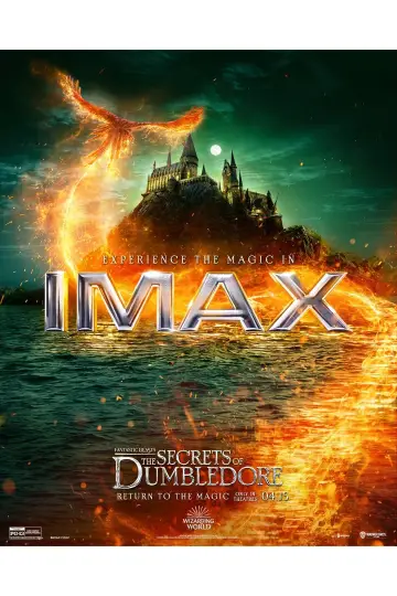 Plakat do filmu "Fantastyczne zwierzęta: Tajemnice Dumbledore