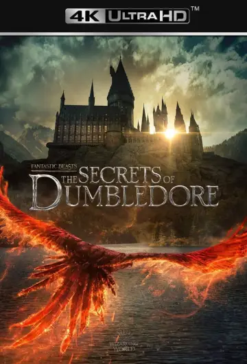 Plakat do filmu "Fantastyczne zwierzęta: Tajemnice Dumbledore