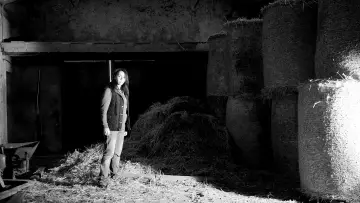 Zasłona do filmu "The Redwood Massacre" #1531694