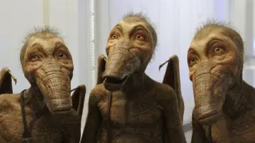 Zasłona do filmu "Valerian i Miasto Tysiąca Planet" #274095