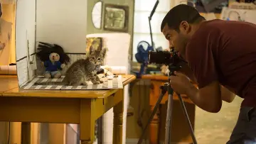 Zasłona do filmu "Keanu" #305451