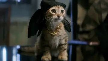 Zasłona do filmu "Keanu" #305456