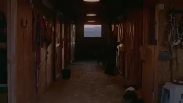 Zasłona do filmu "Kobiecy świat" #1002752
