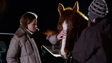 Zasłona do filmu "Kobiecy świat" #1002758