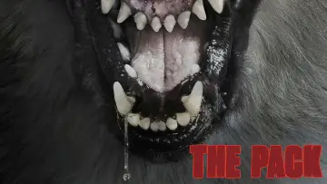 Zasłona do filmu "The Pack" #1126302