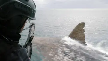 Zasłona do filmu "The Meg" #1643213