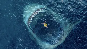 Zasłona do filmu "The Meg" #170533