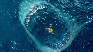 Zasłona do filmu "The Meg" #170536