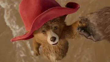 Zasłona do filmu "Paddington 2" #643900