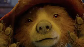 Zasłona do filmu "Paddington 2" #643902