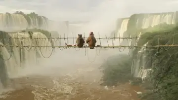 Zasłona do filmu "Paddington 2" #643910