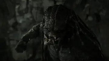 Zasłona do filmu "Predator" #315986