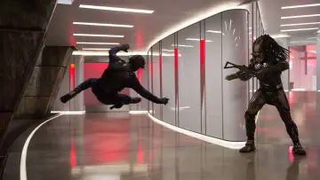 Zasłona do filmu "Predator" #611441