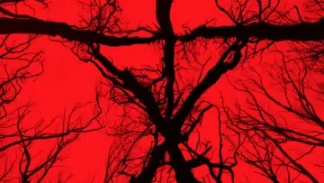 Zasłona do filmu "Blair Witch" #329251