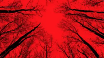 Zasłona do filmu "Blair Witch" #329256