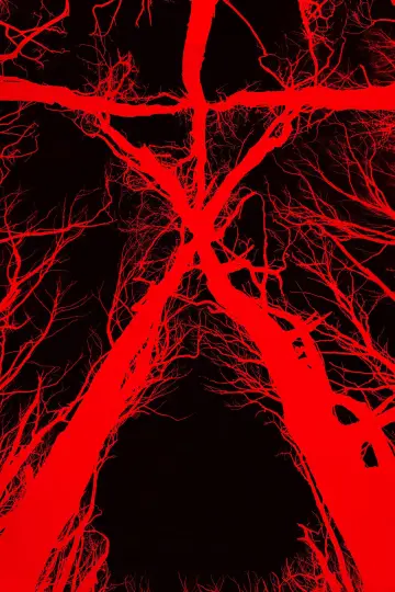 Plakat do filmu "Blair Witch" #329260