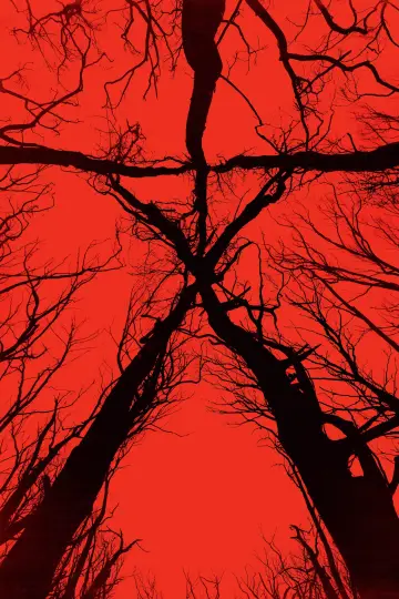 Plakat do filmu "Blair Witch" #329263