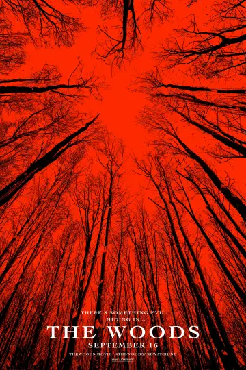 Plakat do filmu "Blair Witch" #91000