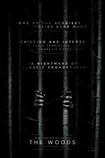 Plakat do filmu "Blair Witch" #91001