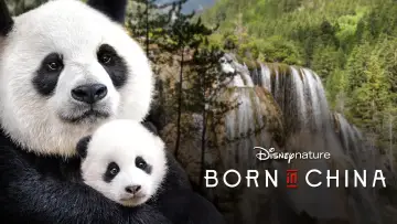 Zasłona do filmu "Born in China" #1080170
